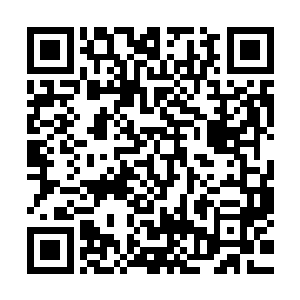 都说这家伙在加入大夏军中之前号称西域白羊王手下第一高手二维码生成