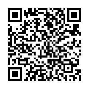 都还不足以支撑着他在百圣城内肆无忌惮的行事二维码生成