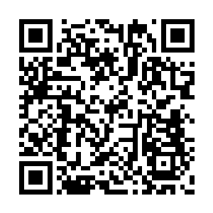都需要大量的廉价劳动力让他们购买的廉价土地二维码生成
