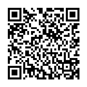 都面临着无比艰难的生存环境的……秦方的父亲秦天楠练过武二维码生成