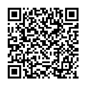 酒庄的主人当年是做好了长期在地底坚持的准备二维码生成