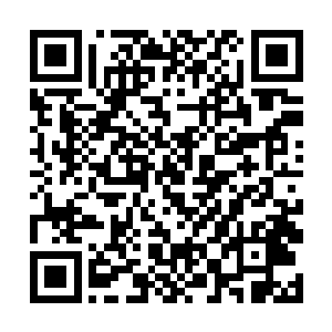 酒店经理充满羡慕地看着徐晋手中的那张白银贵宾卡二维码生成