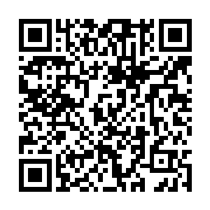 醒来的时候郁晨在一个看起来十分简陋的露天医院二维码生成