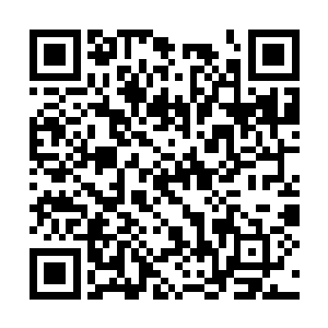 采摘活动并不因为苏落和南宫流云的不愉快而结束二维码生成