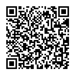 采集完所有冰灵花的变异相思树正以极快的速度朝她所在的方向赶过来二维码生成