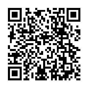 释羽薰则等到一名弟子来开门时说明来意才被带了进去二维码生成