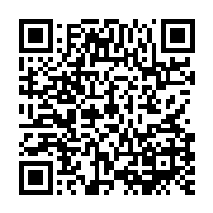 释羽薰迷迷糊糊的在树下等了片刻便见原处有一道白影缓步行来二维码生成