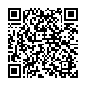 里昂一定感受到了来自英格兰任的各种蔑视和恶意二维码生成