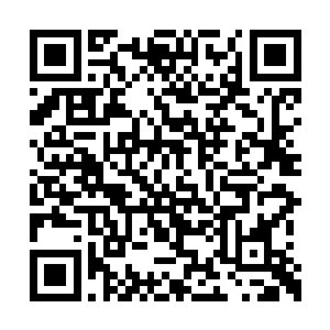 里昂全队并没有像他们的主教练说得漂亮话一样二维码生成