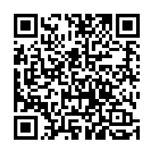 里面收藏的各种珍稀材料和宝物与这青蚌壳储物法宝相比二维码生成