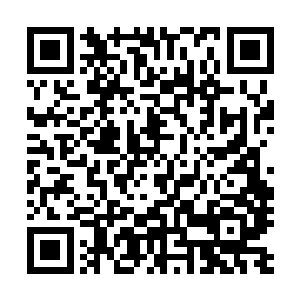 里面有交给小三保命的一些宝物以及取信许妙然他们的证物二维码生成