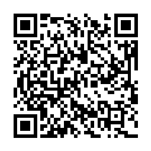 里面的人见两个人半天都没有动弹的样子又关上了二维码生成