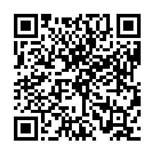 里面竟然就是划拨土地并由遗传工程实验室支付对价的合约二维码生成