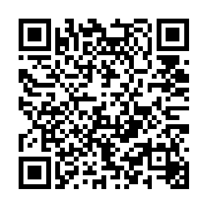 里面还不知道隐藏了怎样恐怖的存在与惊天的秘密二维码生成