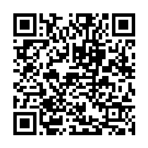 里面还有她珍藏许久的苏墨尘第一次得奖时的视频二维码生成