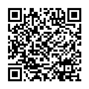 重塑肉身云云对于西方天帝这个级数的强者而言二维码生成