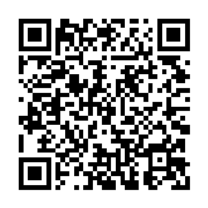 重新从空间腰带中拿出一件完好干净的衣服换上二维码生成