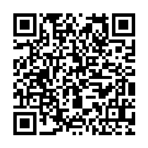 重新戴上船长航海帽的楚门看起来就像是展开大海探险的麦哲伦二维码生成