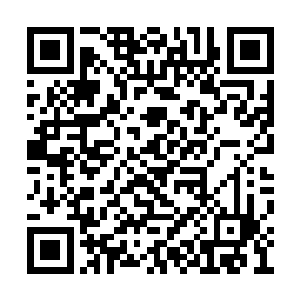 野猪和天狼两人一前一后的将血将军夹在了中央二维码生成