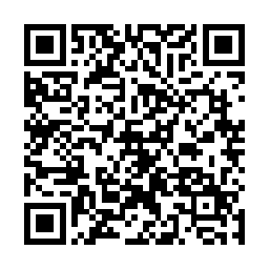 野猪的开天紧接着就蛮横无比的斩断了这株大树的树干二维码生成