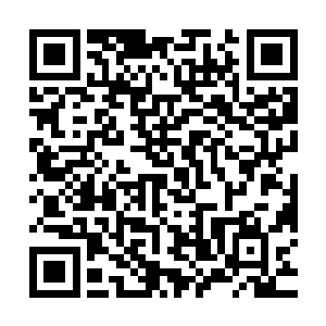野蛮人海盗团应该与对方刚刚接战不久……即使打乱了我的计划二维码生成