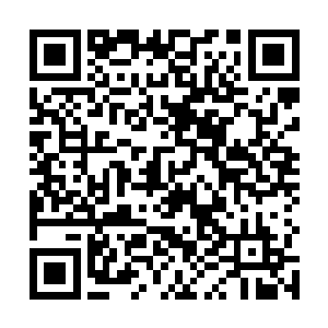 金七安知道木萦用一种手法使她隐藏了自己的真正修为二维码生成