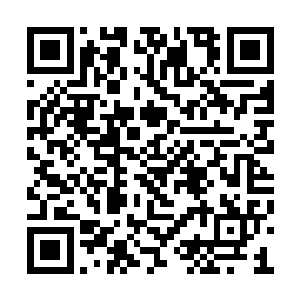 金乌堂以后在太夏各州各郡的扩张就会更加容易二维码生成