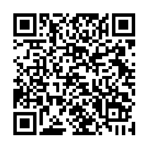金光熄灭又再亮……一节节竹笋在月光下诡异纷长拔节二维码生成