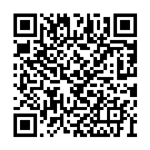 金光还从来没有这么认真仔细的思考过什么问题二维码生成