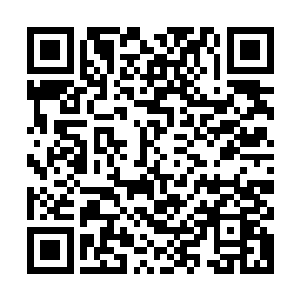 金刚剑宗弟子和真炎剑宗弟子以及黑鹰剑府的学员齐齐看向楚暮二维码生成