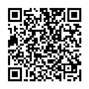 金在珉和少女时代十人也是无所谓韩国粉丝怎么闹腾二维码生成