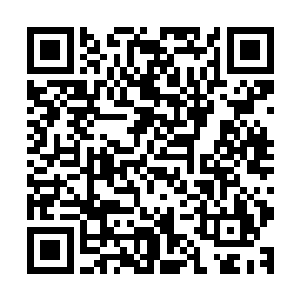 金在珉回答了林允儿的话之后把目光放到了帕尼和金孝渊身上二维码生成