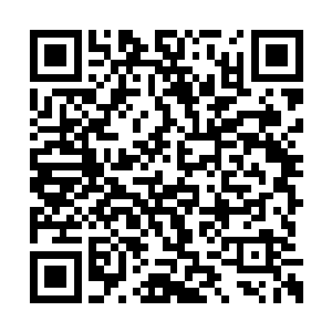 金墨凌微微抬眼看到的就是程熙这副嫌弃加漠然二维码生成