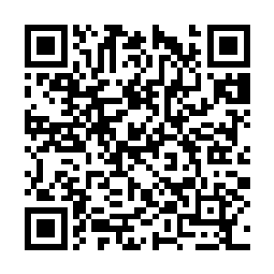 金字塔内那令人窒息的真空状态还没有持续十分钟二维码生成