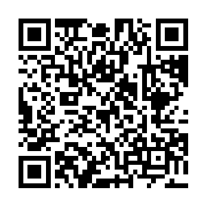 金安吉本来就不高挺的鼻子仿佛被嵌进了那张大脸当中二维码生成