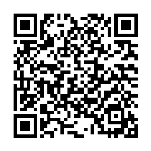 金心月前些日子搜集到的所有羽族专家资料就起了作用二维码生成