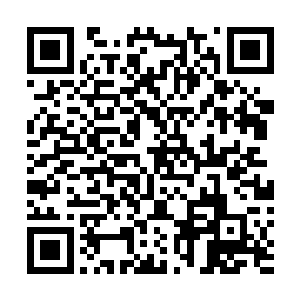 金掌柜与童掌柜二人不时地扭头朝喊价者所在的方向望去二维码生成