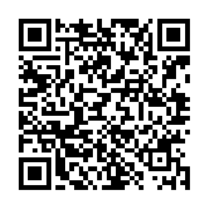 金星上……太阳系内一切有条件的地方都是他们寻找的对象二维码生成