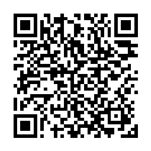 金木兼容道基在地仙时还可让自身灵池与灵木维持相互均衡二维码生成