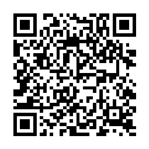 金权道无法接纳一个被太夏廷尉府下令通缉格杀的人二维码生成