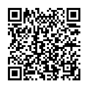 金玄大帝的脸上顿时也露出了一抹无比狂喜的表情二维码生成