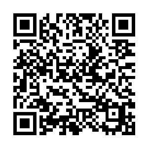 金球奖在最佳编剧五个有限的位置之中挤出了一个给二维码生成