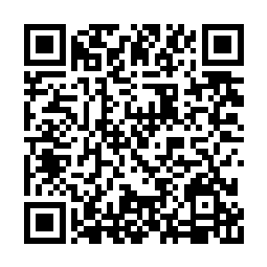 金甲宗非但没能抢占紫极剑宗的进攻类法宝市场二维码生成