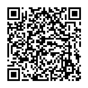 金甲蛮虫和飞翼银龙在空中大肆猎杀海雕魔兽和灯笼似的玩意魔兽二维码生成