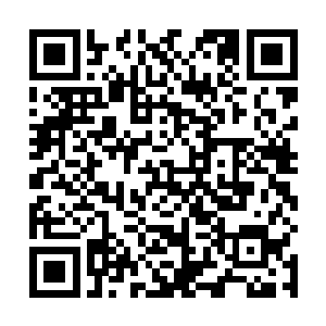 金甲蛮虫立即摘下那块触须上的仙宝岛钥匙递给了江帆二维码生成
