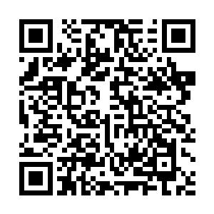 金福镖局的车队我见过·这事情完了以后见他一次砸他一次二维码生成