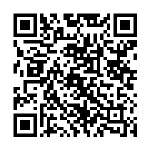 金童很快就给自己找到了一个完美的借口不就是仙草嘛二维码生成