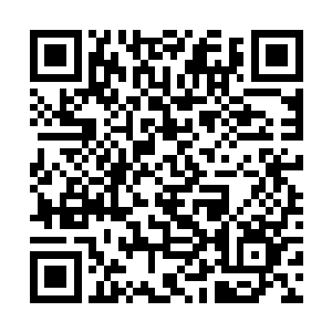 金箍棒悄然改变了轨迹朝着冲刺之中的鼍洁呼啸而去二维码生成