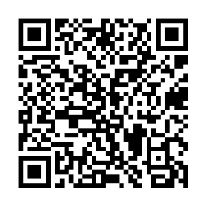 金红色的大道世界和灰白色的大道世界盘踞了半边天二维码生成
