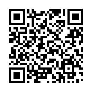 金老爷子和金美诗三个人分别拿起合同二维码生成